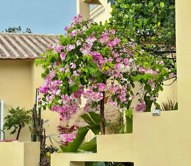 亲子游5天4晚价格跟团五日游报价新葡京北海亲子跟团游多少钱？北海(图7)